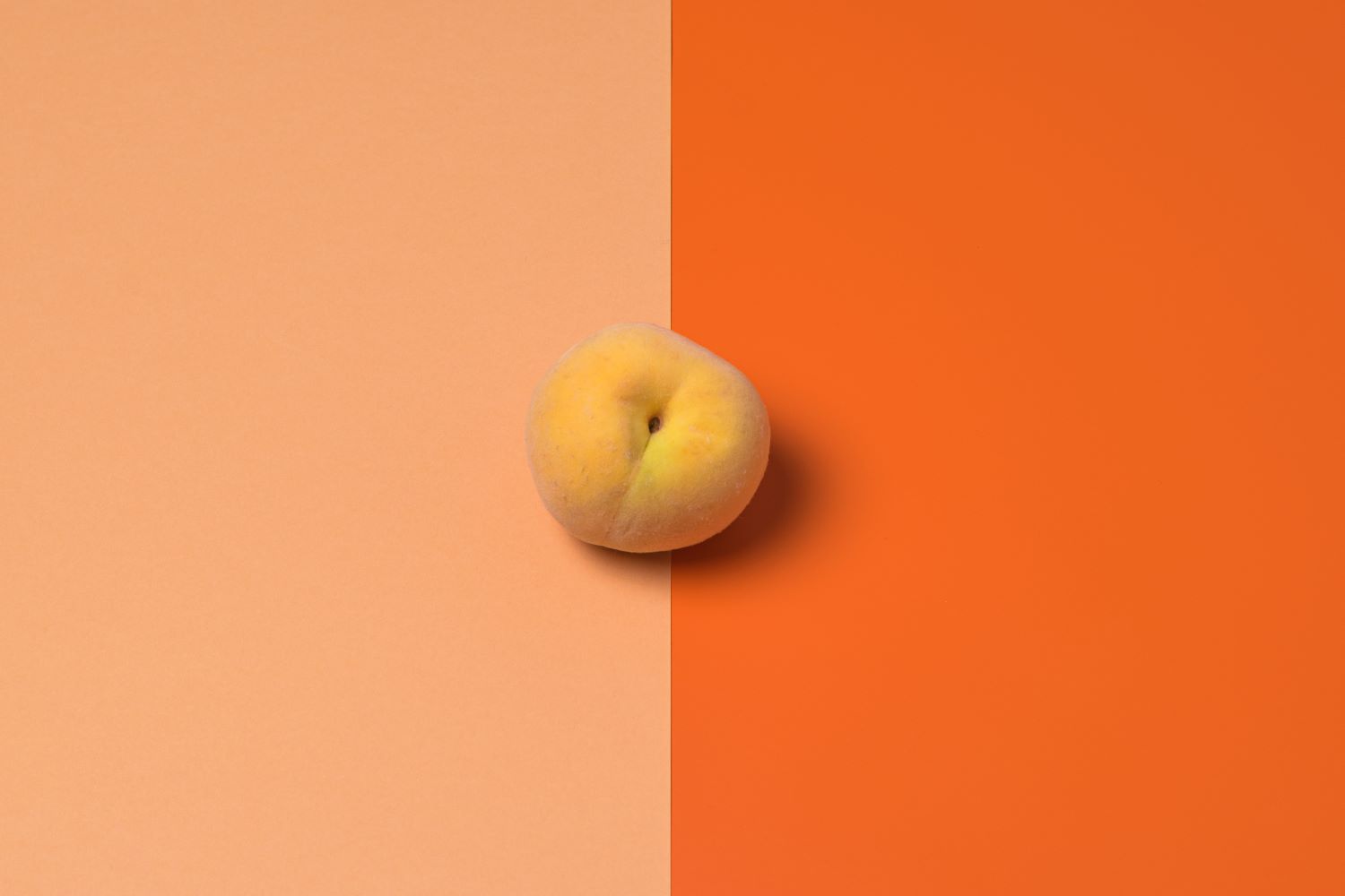 Peach Fuzz เฉดสีที่ใช่ สีประจำปี 2024